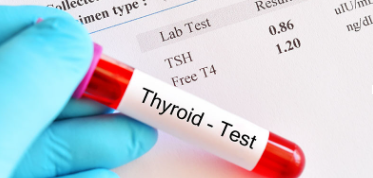 What are thyroid tests?
