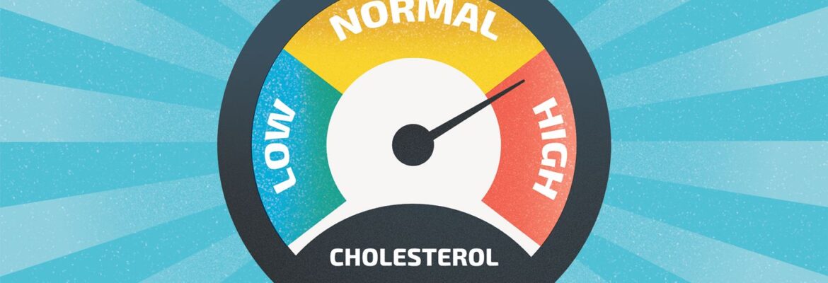 Everything About Cholesterol Management – Happy Cholesterol Circle