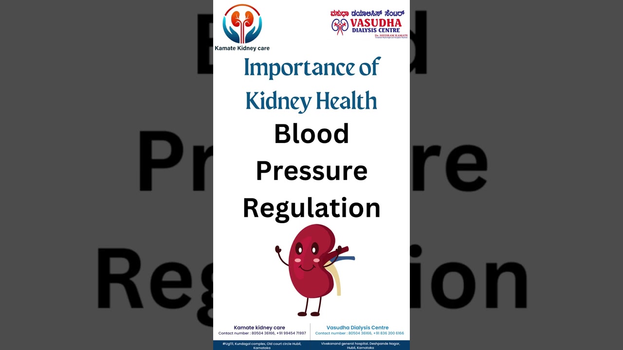 Importance of Kidney Health