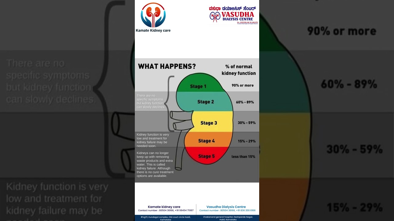 Chronic Kidney Disease – A silent killer Understand the Stages of Kidney Failure