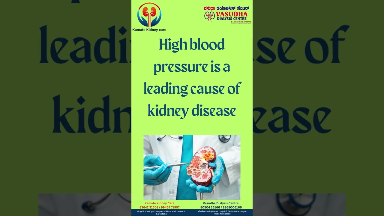 Impact of high blood pressure on Kidneys