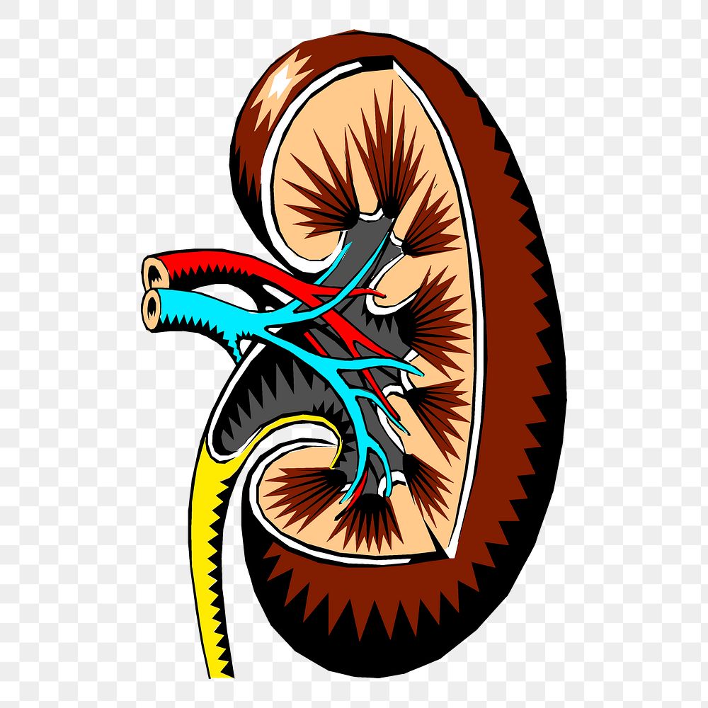 Mental Health Symptoms and Kidney Problems