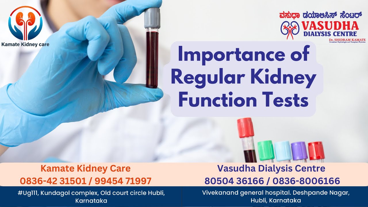 Importance of Regular Kidney Function Tests