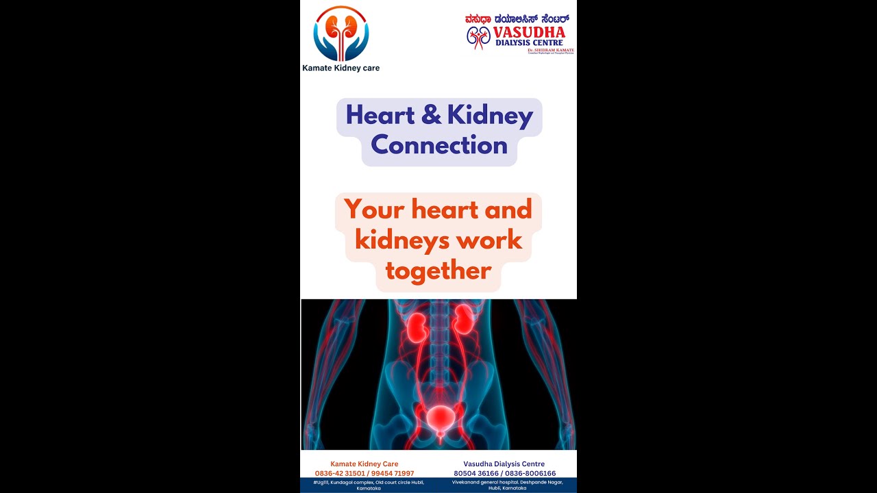 Heart & Kidney Connection. The connection between heart health and kidneys